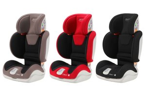 BabySafe Chart 2.0 15-36 kg