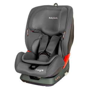BabySafe Corgi 9-36 kg