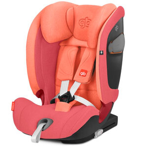 GB Everna-Fix 9-36 kg