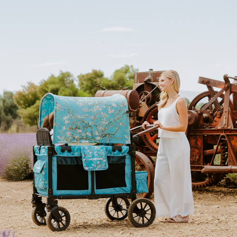 Wonderfold W2 Luxe Pro Van Gogh  cecha