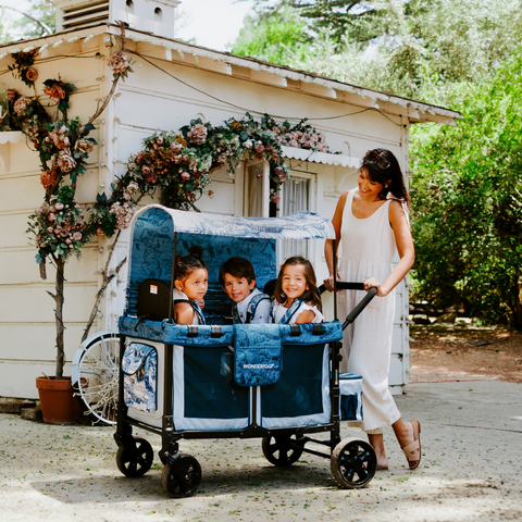 Przewaga Wonderfold W2 Luxe Pro Van Gogh 