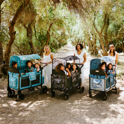 Funkcja Wonderfold W2 Luxe Pro Van Gogh 