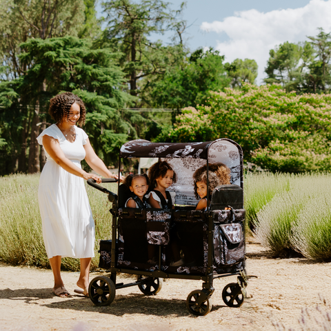 Zaleta Wonderfold W2 Luxe Pro Van Gogh 