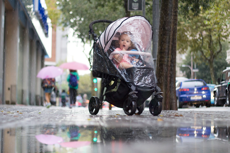 Baby Monsters Phoenix 