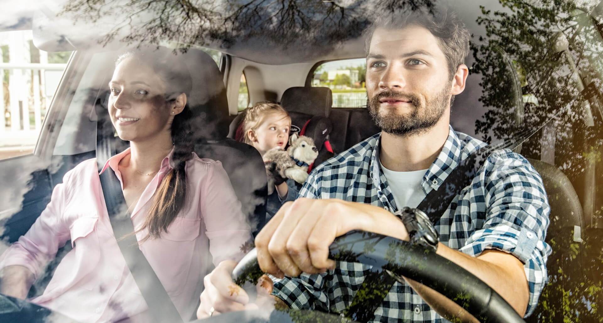 BabySafe Golden 0-36 kg