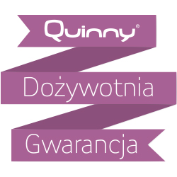 Quinny Moodd Gondola