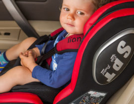 Lionelo Jasper 9-36 kg